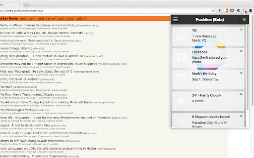 Plugin Screenshot