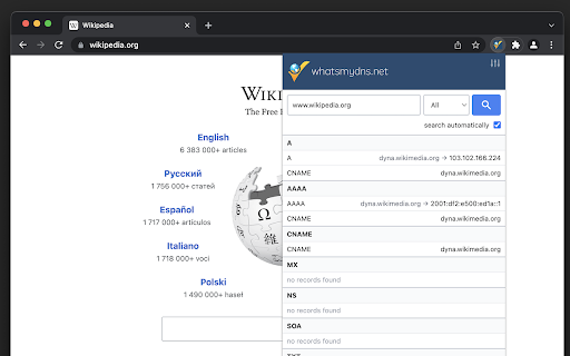 Plugin Screenshot