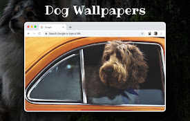 Dog Wallpapers for New Tab