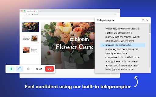 Plugin Screenshot