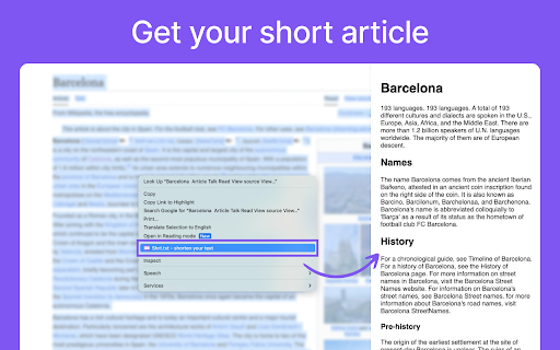 Plugin Screenshot