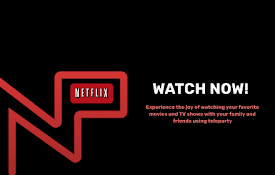 Netflix Party