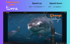 Youtube Custom Speed Control