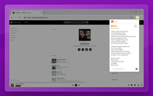 Plugin Screenshot