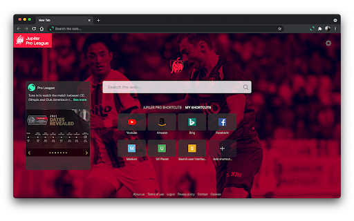 Plugin Screenshot