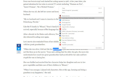 Plugin Screenshot