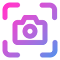 Plugin Icon