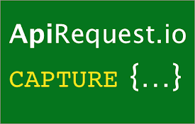 ApiRequest.io Ajax Capture Debugging Tool