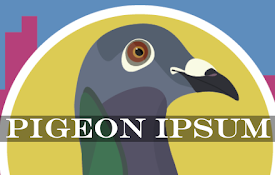 Pigeon Ipsum