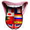 Plugin Icon