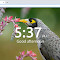 Plugin Icon