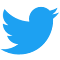 Twitter Without X
