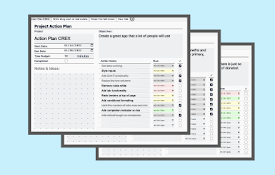 The Project Action Plan