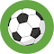 Plugin Icon