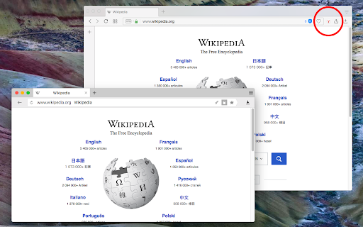 Plugin Screenshot