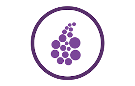 Onion Browser Button