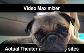 Video Maximizer