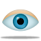 Plugin Icon