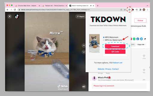 Plugin Screenshot