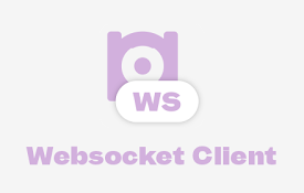 Websocket Client