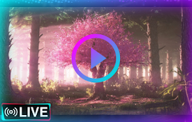 Cherry Blossom Tree: Beautiful Live Wallpaper for Chrome!