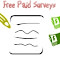 Take Surveys For Cash