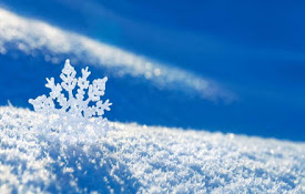 冬天雪壁纸高清新标签页
