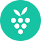Plugin Icon