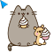 Plugin Icon