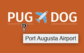 Airport Code Explainer