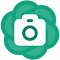 Plugin Icon