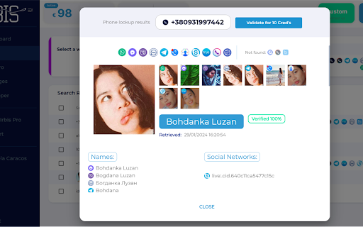 Plugin Screenshot