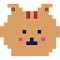 Cute Cat