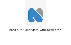 NetMeter Web