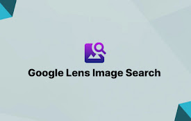 Google Lens Image Search