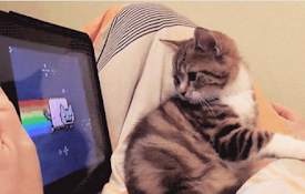 Kitty Tab