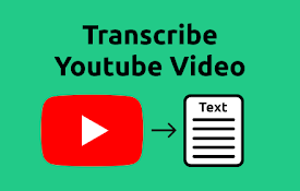 转录YouTube视频 - Transcribe YouTube Video
