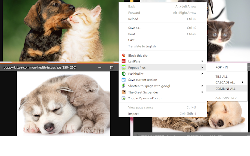 Plugin Screenshot
