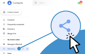 Share Google Contacts Plugin