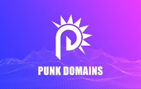 Punk Domains