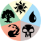 MTG Display Color Names