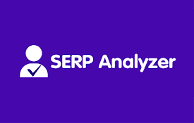 SERP Analyzer - 域名所属人IP信息及国旗