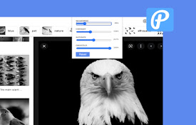 Live Photo Editor Online