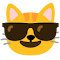 Plugin Icon