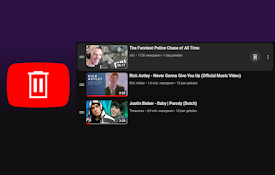 YouTube Playlist Quick Delete
