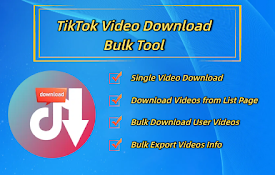 Tiktok Video Download/Bulk Tool