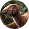 Plugin Icon
