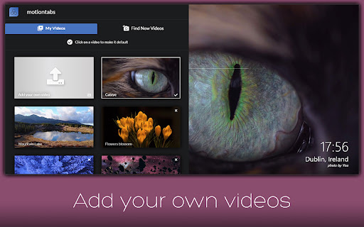 Plugin Screenshot