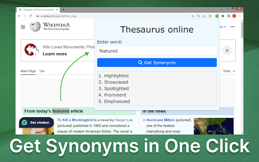 Plugin Screenshot