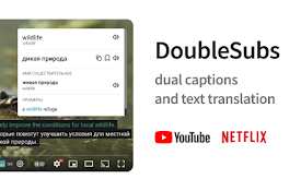 DoubleSubs